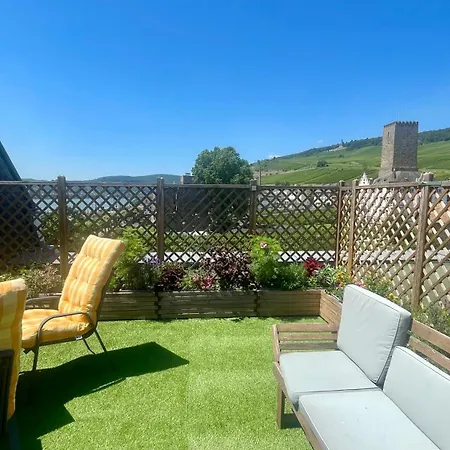 Sturm Apartment Ruedesheim am Rhein