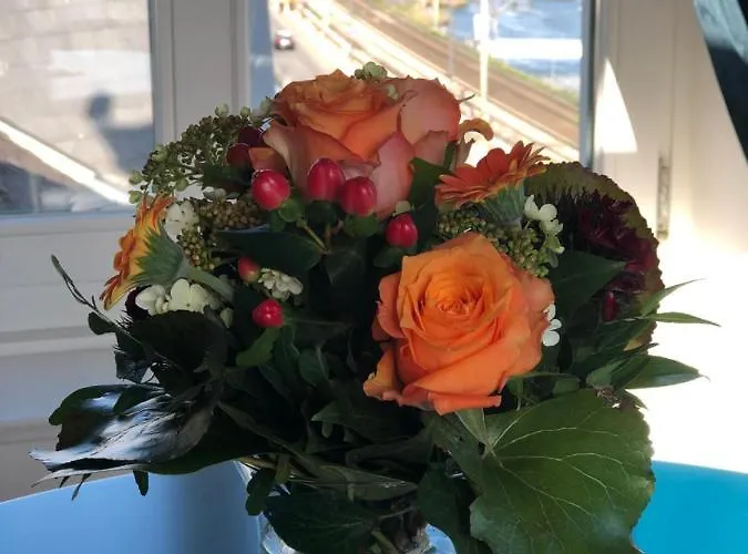 Sturm Appartement Rüdesheim am Rhein